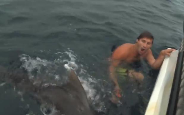Une vidéo d’attaque de requin en Australie fait le buzz sur le net