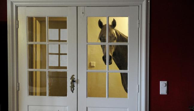 Un cheval dans la maison