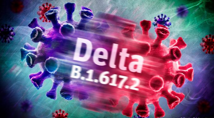 Covid-19, Variant Delta au Canada: ses origines, ses points chauds et sa résistance aux vaccins Covid-19, Variant Delta au Canada: ses origines, ses points chauds et sa résistance aux vaccins