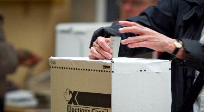 Élections fédérales 2021: Les électeurs inscrits devraient recevoir leur carte d’ici le 10 septembre 2021 Élections fédérales 2021: Les électeurs inscrits devraient recevoir leur carte d'ici le 10 septembre 2021