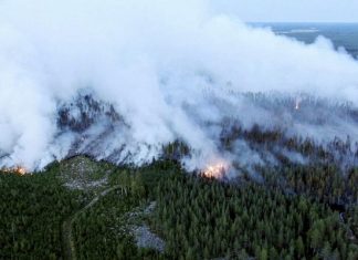 Réchauffement climatique : Le rapport du Giec, «avertissement le plus sévère jamais lancé» sur le climat Réchauffement climatique : Le rapport du Giec, «avertissement le plus sévère jamais lancé» sur le climat