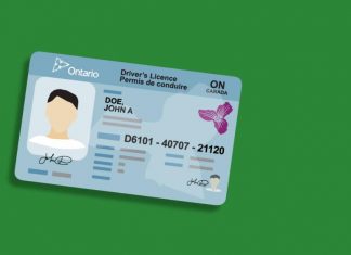 L’Ontario rétablit les exigences de renouvellement des permis de conduire, des vignettes de plaque d’immatriculation et des cartes Santé L’Ontario rétablit les exigences de renouvellement des permis de conduire, des vignettes de plaque d’immatriculation et des cartes Santé