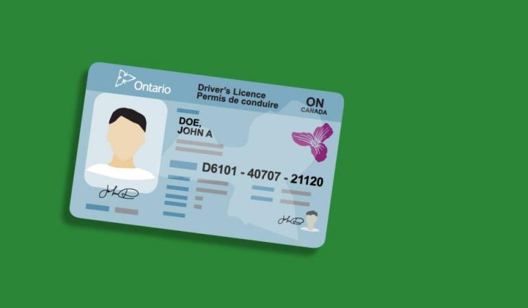 L’Ontario rétablit les exigences de renouvellement des permis de conduire, des vignettes de plaque d’immatriculation et des cartes Santé L’Ontario rétablit les exigences de renouvellement des permis de conduire, des vignettes de plaque d’immatriculation et des cartes Santé