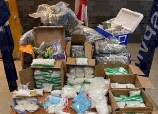 Nouvelle saisie majeure de stupéfiants et d’armes à feu dans l’Ouest-de-l’Île Nouvelle saisie majeure de stupéfiants et d’armes à feu dans l’Ouest-de-l’Île