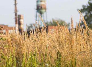 Des mesures concrètes pour construire un Sud-Ouest plus vert et plus durable Des mesures concrètes pour construire un Sud-Ouest plus vert et plus durable