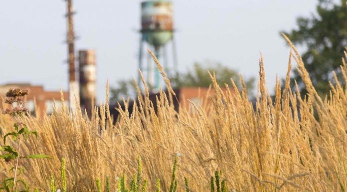 Des mesures concrètes pour construire un Sud-Ouest plus vert et plus durable Des mesures concrètes pour construire un Sud-Ouest plus vert et plus durable