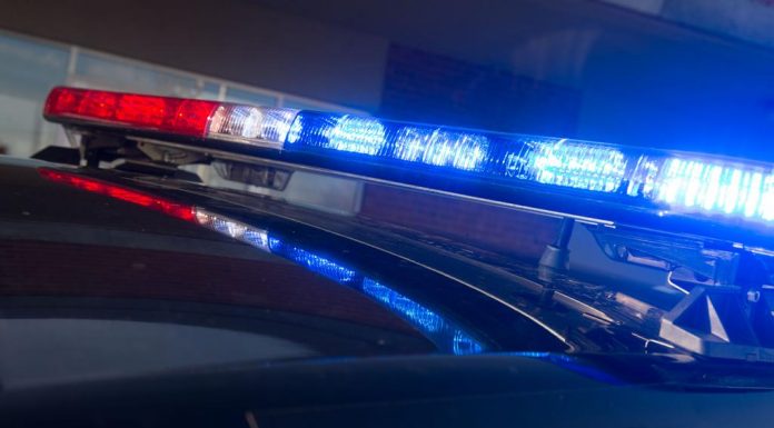 Montréal : Un pompier périt dans le Saint-Laurent en secourant les occupants d’une embarcation Montréal : Un pompier périt dans le Saint-Laurent en secourant les occupants d’une embarcation