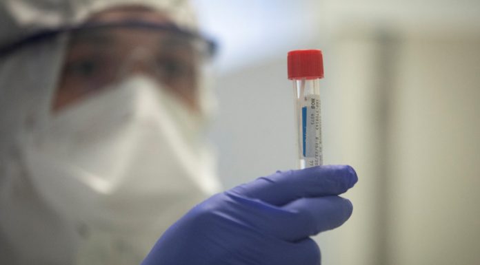 Coronavirus : 567 nouveaux cas et 1 décès au Québec Coronavirus : 567 nouveaux cas et 1 décès au Québec