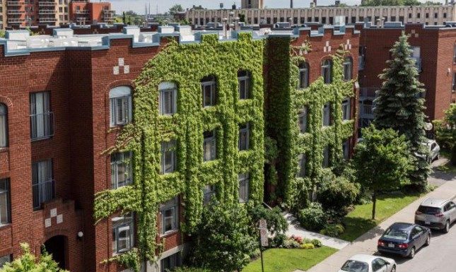 L’Arrondissement du Sud-Ouest reçoit un important don de 18 vitraux L'Arrondissement du Sud-Ouest reçoit un important don de 18 vitraux