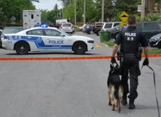 Meurtre d’un ado sans histoire dans Saint-Michel : l’opposition officielle réclame des actions rapides Meurtre d'un ado sans histoire dans Saint-Michel : l'opposition officielle réclame des actions rapides