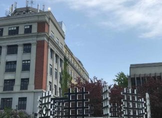 Christianne Cyrenne nommée à la direction de l’arrondissement de LaSalle Christianne Cyrenne nommée à la direction de l'arrondissement de LaSalle