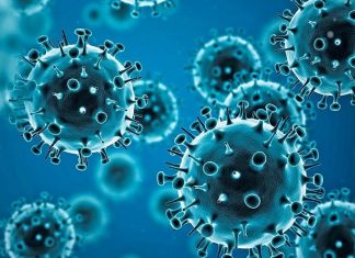 Coronavirus : Mesures rehaussées en milieu scolaire dans la région de la Capitale-Nationale Coronavirus : Mesures rehaussées en milieu scolaire dans la région de la Capitale-Nationale