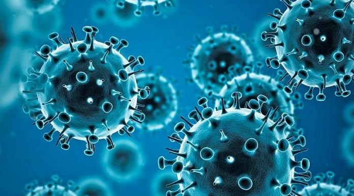 Coronavirus : Mesures rehaussées en milieu scolaire dans la région de la Capitale-Nationale Coronavirus : Mesures rehaussées en milieu scolaire dans la région de la Capitale-Nationale