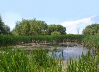 La Ville de Montréal consolide son Grand parc de l’Ouest La Ville de Montréal consolide son Grand parc de l’Ouest