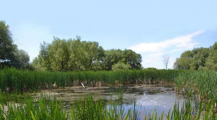 La Ville de Montréal consolide son Grand parc de l’Ouest La Ville de Montréal consolide son Grand parc de l’Ouest