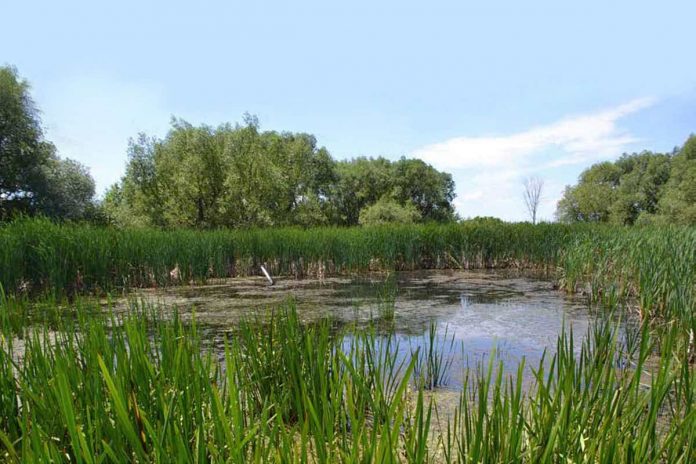 La Ville de Montréal consolide son Grand parc de l’Ouest