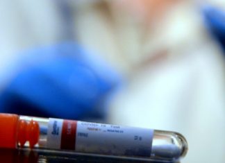 Québec : Des tests de dépistage rapide distribués graduellement pour l’ensemble de la population Québec : Des tests de dépistage rapide distribués graduellement pour l’ensemble de la population