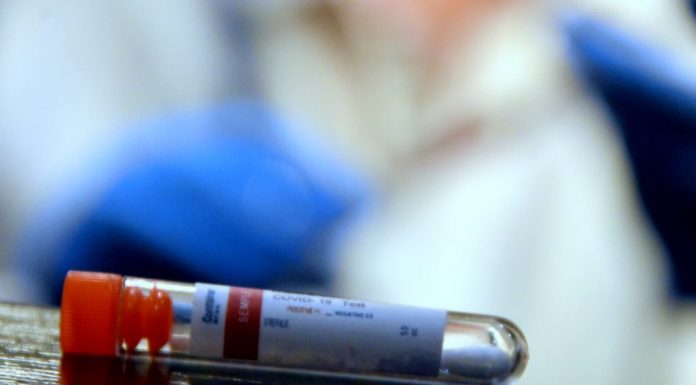Québec : Des tests de dépistage rapide distribués graduellement pour l’ensemble de la population Québec : Des tests de dépistage rapide distribués graduellement pour l’ensemble de la population