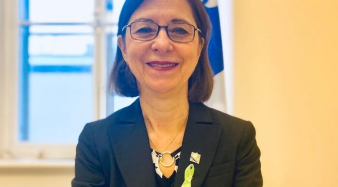 Québec : Deux nouveaux programmes d’études au collégial Québec : Deux nouveaux programmes d’études au collégial