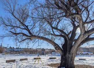 Reconnaissance des Albertaines et Albertains qui préservent notre patrimoine Reconnaissance des Albertaines et Albertains qui préservent notre patrimoine