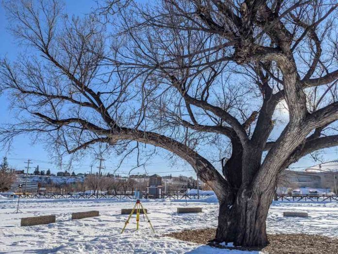 Reconnaissance des Albertaines et Albertains qui préservent notre patrimoine