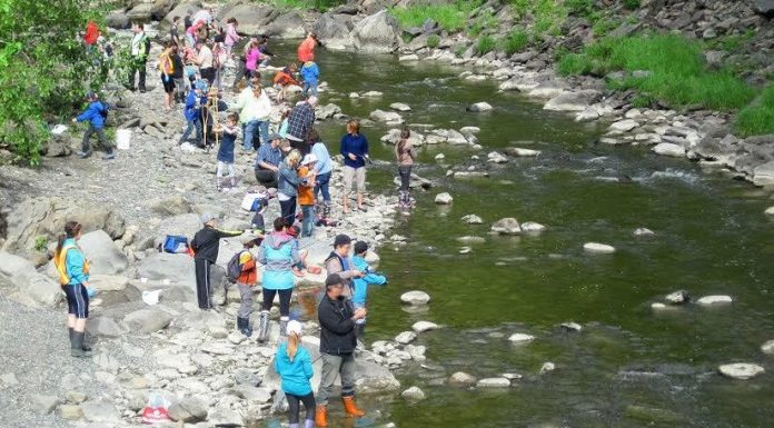 Subvention de Québec de près de 3 millions de dollars à la Fondation de la faune Subvention de Québec de près de 3 millions de dollars à la Fondation de la faune