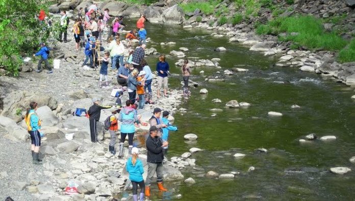 Subvention de Québec de près de 3 millions de dollars à la Fondation de la faune