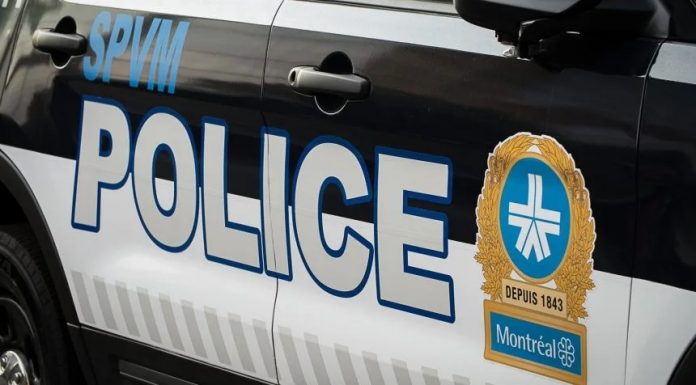 Trafic de drogue: arrestations d’individus « lourdement armé » à Dollard-des-Ormeaux Trafic de drogue: arrestations d’individus « lourdement armé » à Dollard-des-Ormeaux