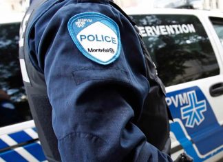 Vol de véhicules : Sept arrestations et cinq armes saisies Vol de véhicules : Sept arrestations et cinq armes saisies