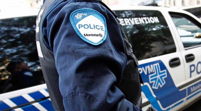 Vol de véhicules : Sept arrestations et cinq armes saisies Vol de véhicules : Sept arrestations et cinq armes saisies