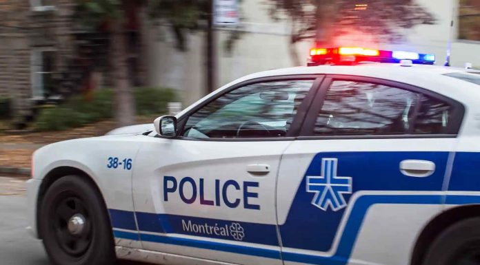 Montréal: 6,5 millions de comprimés d’amphétamines saisis par le SPVM Montréal: 6,5 millions de comprimés d’amphétamines saisis par le SPVM