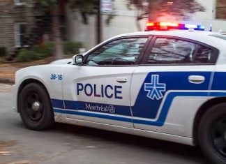 SPVM : Quatre individus arrêtés pour vol dans l’Ouest de Montréal SPVM : Quatre individus arrêtés pour vol dans l'Ouest de Montréal