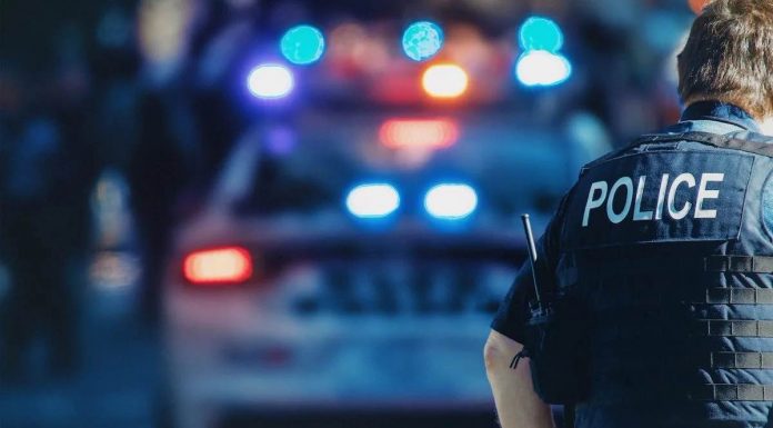 Lutte contre le crime : les autorités mettent fin à la série de vols avec effraction en arrêtant un suspect Lutte contre le crime : les autorités mettent fin à la série de vols avec effraction en arrêtant un suspect