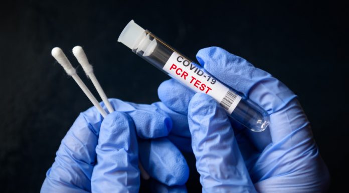 Mise à jour du programme albertain de tests de dépistage PCR de la COVID-19 Mise à jour du programme albertain de tests de dépistage PCR de la COVID-19