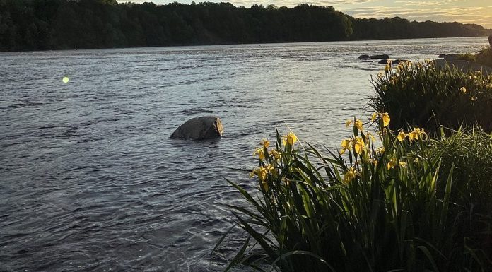 Drummondville: Un corps a été repêché dans la rivière Saint-François Drummondville: Un corps a été repêché dans la rivière Saint-François