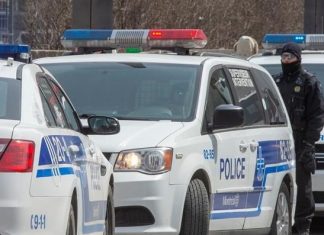 Huit personnes arrêtées et deux armes à feu confisquées lors d’une opération policière à Montréal Huit personnes arrêtées et deux armes à feu confisquées lors d'une opération policière à Montréal