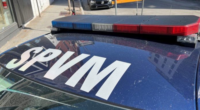 Le SPVM vise la diversité dans sa nouvelle opération de recrutement Le SPVM vise la diversité dans sa nouvelle opération de recrutement