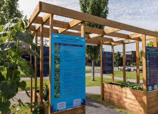 Montréal : Inauguration d’un jardin collectif inédit à MHM Montréal : Inauguration d'un jardin collectif inédit à MHM