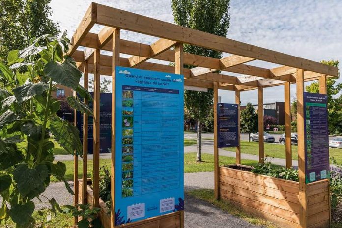 Montréal : Inauguration d'un jardin collectif inédit à MHM