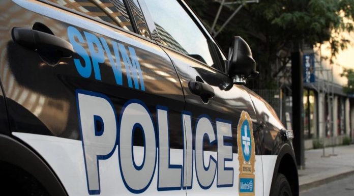 SPVM : Un suspect d’introductions par effraction arrêté SPVM : Un suspect d'introductions par effraction arrêté