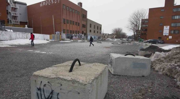 La Ville de Montréal accorde un contrat pour l’aménagement du parc des Gorilles La Ville de Montréal accorde un contrat pour l'aménagement du parc des Gorilles