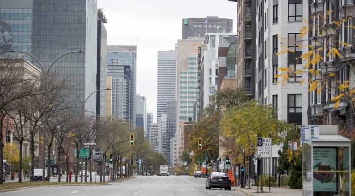 La Ville de Montréal annonce quatre appels à projets en médiation culturelle La Ville de Montréal annonce quatre appels à projets en médiation culturelle
