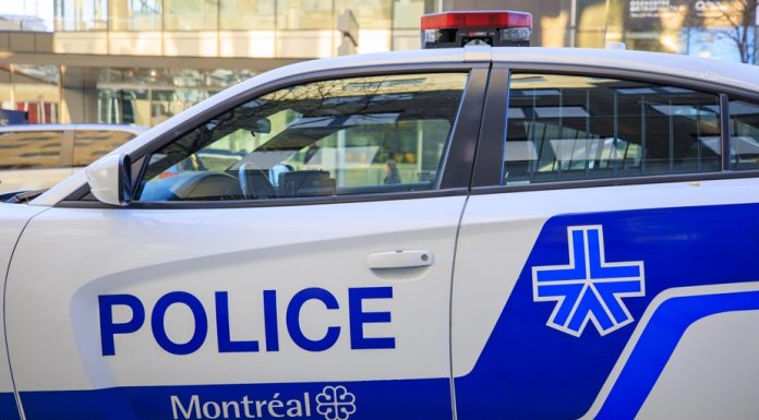 Un jeune de 19 ans tué à Outremont: Deux suspects arrêtés Un jeune de 19 ans tué à Outremont: Deux suspects arrêtés