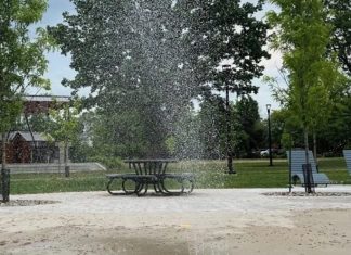 Montréal: Un plan pour l’avenir des parcs et espaces verts dans Ahuntsic-Cartierville Montréal: Un plan pour l'avenir des parcs et espaces verts dans Ahuntsic-Cartierville