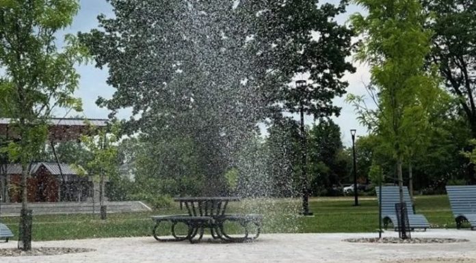 Montréal: Un plan pour l’avenir des parcs et espaces verts dans Ahuntsic-Cartierville Montréal: Un plan pour l'avenir des parcs et espaces verts dans Ahuntsic-Cartierville