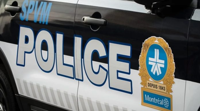 Deux individus interpellés pour avoir vandalisé des véhicules du Service de Police de la Ville de Montréal Deux individus interpellés pour avoir vandalisé des véhicules du Service de Police de la Ville de Montréal