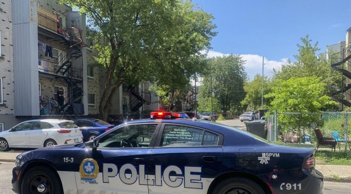 Deux suspects en détention suite à la blessure par balle d’un piéton à Saint-Laurent Deux suspects en détention suite à la blessure par balle d'un piéton à Saint-Laurent