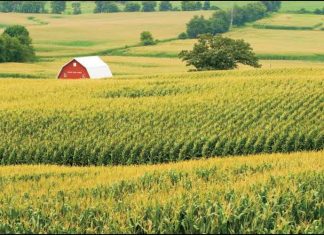 La MRC de Rouville investit plus de 1,5 M$ dans l’agriculture locale La MRC de Rouville investit plus de 1,5 M$ dans l'agriculture locale