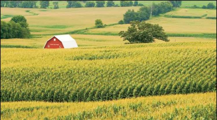 La MRC de Rouville investit plus de 1,5 M$ dans l’agriculture locale La MRC de Rouville investit plus de 1,5 M$ dans l'agriculture locale