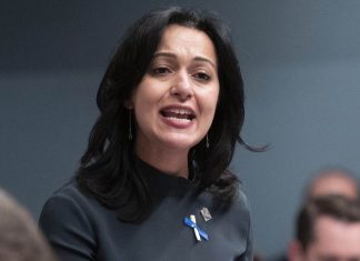 Pour une culture accessible à tous : Québec solidaire propose la « Passe-Culture » Pour une culture accessible à tous : Québec solidaire propose la « Passe-Culture »